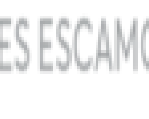 LA BARIERRE AUTOMATIQUE